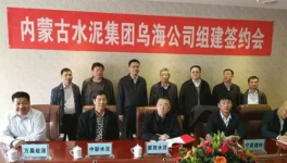 冬去春來，水泥企業(yè)“抱團取暖”，是要干啥