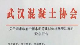 協(xié)會發(fā)文:請求政府干預(yù)水泥價格暴漲亂象！(附文件)