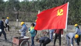 寧波海螺水泥公司黨員突擊隊 “造綠色廠區(qū)，建美麗企業(yè)”