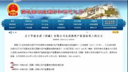 又一條新建水泥產(chǎn)能將落地！
