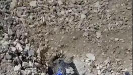 大貨車闖紅燈側翻!小車瞬間被埋!致3人死亡！
