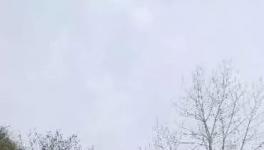 這家水泥廠破壞青山、污染環(huán)境何時休？