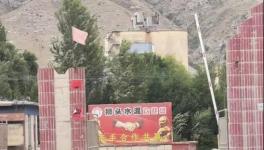 村民舉報(bào)：已關(guān)停許久的水泥廠又開始生產(chǎn)，粉塵污染嚴(yán)重