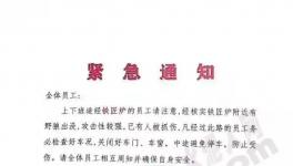 狼來了！這家水泥廠已有員工被抓傷！
