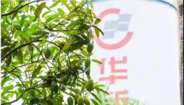 人與自然和諧相處！水泥廠迎來神秘訪客！
