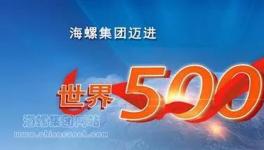 海螺集團(tuán)邁進(jìn)世界500強(qiáng)引起熱烈反響！