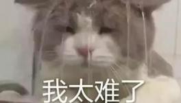 國(guó)慶節(jié)的催款心聲，讓數(shù)萬(wàn)水泥人不再沉默！