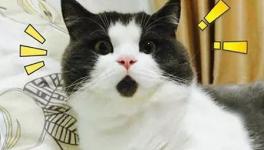 美！太美了！這些花園水泥廠您去過嗎！
