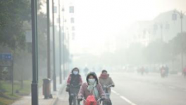 水泥停產(chǎn)！工地放假！物流停運！“春運”提前來了！