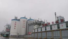 強手如林中拔得頭籌！這家水泥企業(yè)年利潤超3億元！