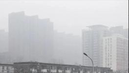 停工停產(chǎn)一個(gè)月！霧霾還是爆表！3000多家水泥企業(yè)“冤不冤”?