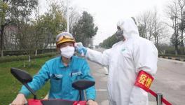視頻：無人駕駛調(diào)試、大型設(shè)備組裝......蕪湖海螺復(fù)產(chǎn)！