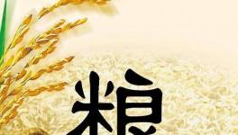 全球糧食市場異動，每個人都要提前應(yīng)對了！