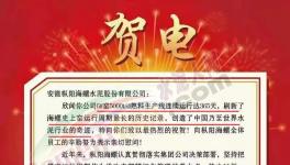 又是海螺水泥！創(chuàng)造世界水泥行業(yè)奇跡！