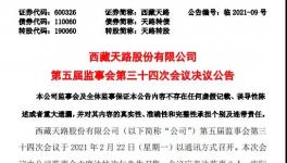 西藏天路股份有限公司高管人員任職大變動！