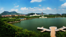 山東省棗莊市51條水泥立窯生產(chǎn)線全部關(guān)停！