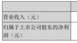 天山股份年報(bào)：2020年實(shí)現(xiàn)凈利潤15.16億元！