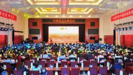 中建材在全球承接379條水泥生產(chǎn)線、市場占有率超過65%！