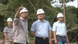 南方水泥上半年?duì)I收3.65億元！新項(xiàng)目推進(jìn)中！