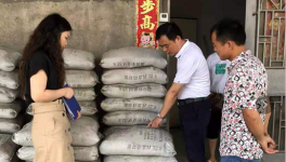 市場(chǎng)上這7個(gè)主要水泥品牌被質(zhì)量抽檢！