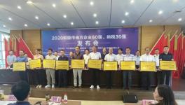 銅陵上峰:連續(xù)9年上榜“地方企業(yè)50強”！