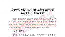 海螺創(chuàng)業(yè)擬對(duì)外轉(zhuǎn)讓這兩家公司100%股權(quán)！