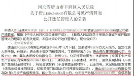 冀東水泥旗下公司破產(chǎn)清算！選聘專業(yè)機構(gòu)