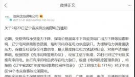 全國十幾個省限電！近2000家水泥廠“預警”！
