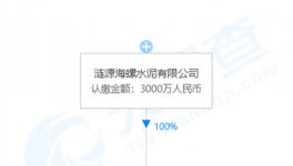 加速收購(gòu)！海螺水泥在下一盤(pán)大棋！
