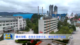 海螺子公司3條熟料生產(chǎn)線實(shí)現(xiàn)營收118億！