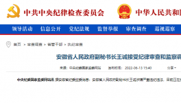 突發(fā)！海螺原董事長被查！
