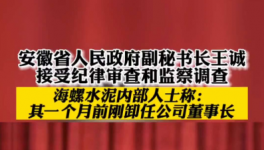 立案！海螺、華新、華潤等多位高管被查！