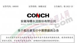 海螺水泥擬發(fā)行不超100億票據(jù)！