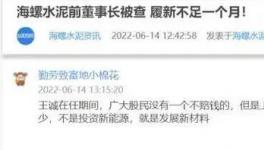 海螺蒸發(fā)1300億，逾700億元投資或存變數(shù)！