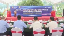 ?總投資額4775萬元！華潤水泥光伏項(xiàng)目開工?！