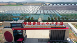 巧用水泥余熱，工業(yè)轉(zhuǎn)型反哺農(nóng)業(yè)！