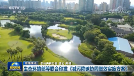 環(huán)保政策加嚴(yán)！氨逃逸不超標(biāo)這些企業(yè)做到了！