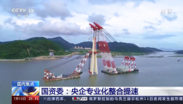 央視新聞報(bào)道：中國(guó)建材專業(yè)化整合成效經(jīng)驗(yàn)交流！