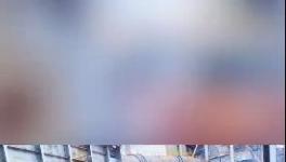 殺公雞！開窯！水泥廠“辟邪”！