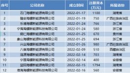 瘋狂！海螺成立96家“能源”公司！