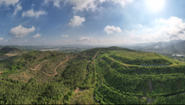 從滿目瘡痍到無(wú)塵、清潔、生態(tài)礦山，3年見(jiàn)證涅槃重生！