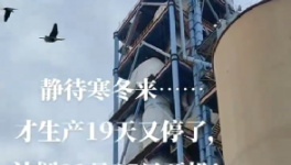 全停！最長200天！20個(gè)省水泥廠停產(chǎn)！