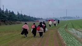 反撲！多省工地停工！水泥廠停發(fā)！商混站“告急”！