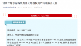 公告！多家水泥廠被賣！