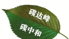 縫出匠心！這家環(huán)保企業(yè)脫穎而出！市場占有率名列前茅！