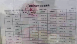 工資曝光！村長(zhǎng)“秒殺”水泥廠高管！
