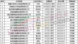 瘋狂！“上下”通吃！海螺連續(xù)成立50多家公司！